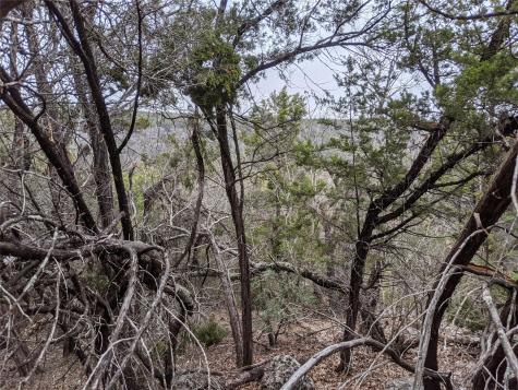 20702 Ramrod Trail Lago Vista TX 78645