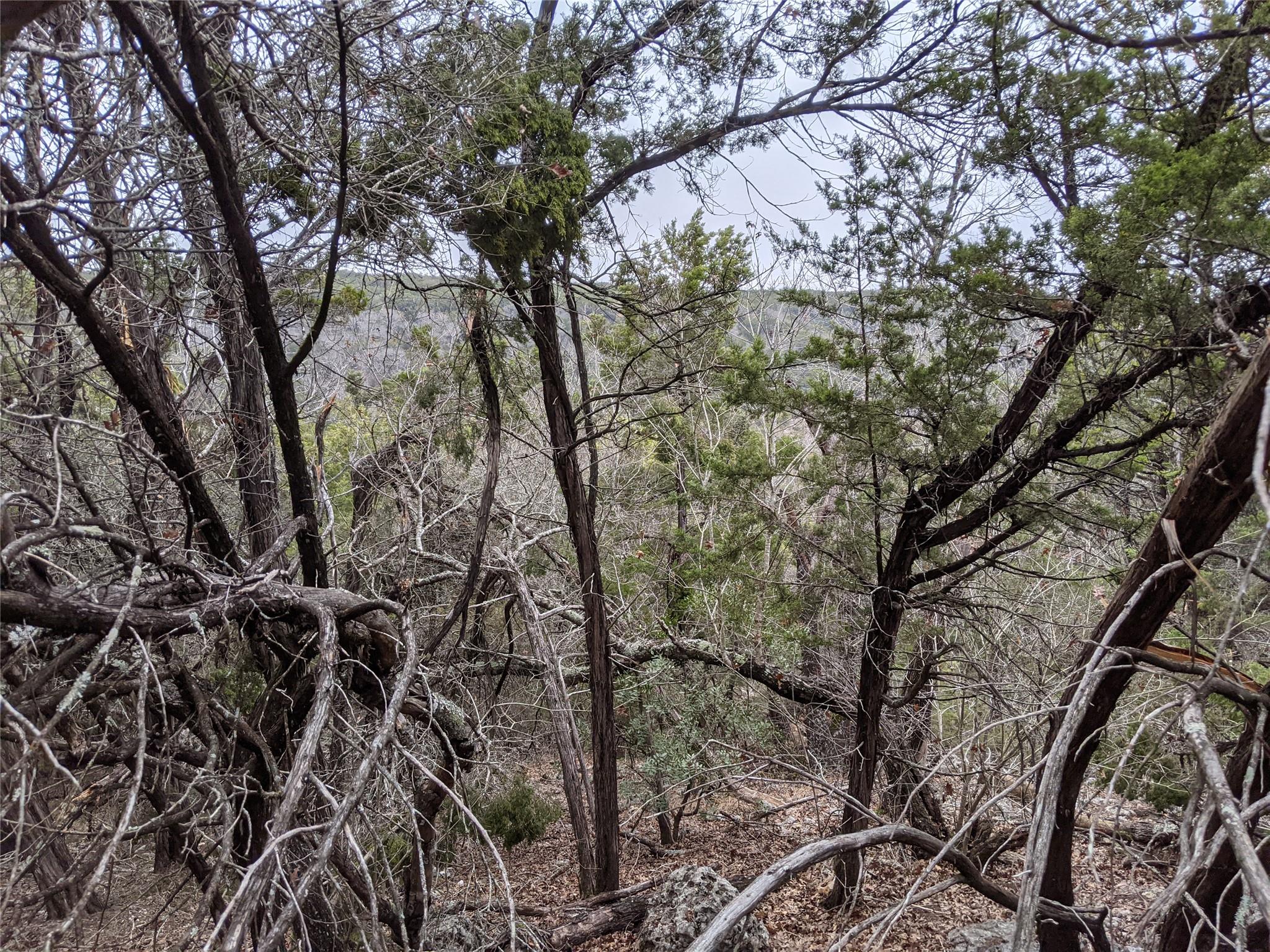 20702 Ramrod Trail Lago Vista TX 78645