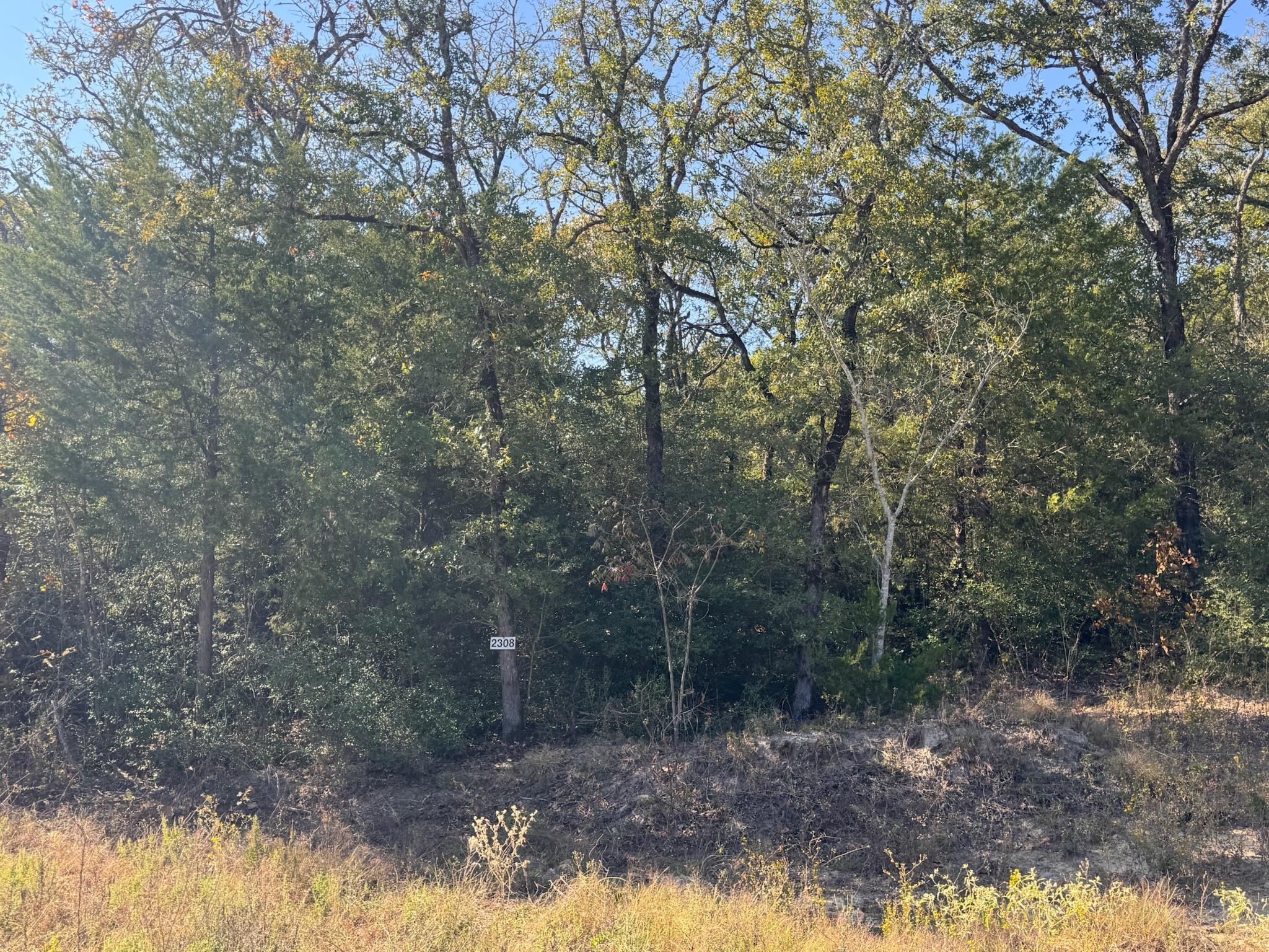 2308 Myrtle Lane Cameron TX 76520