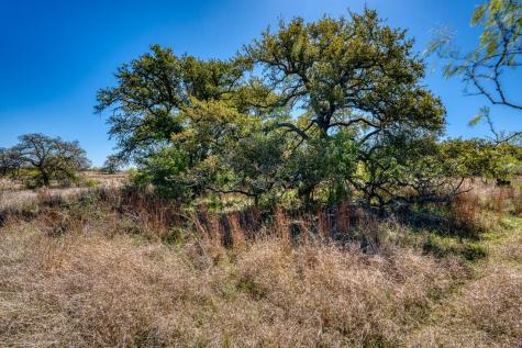 Tbd Smith West Road Johnson City TX 78636
