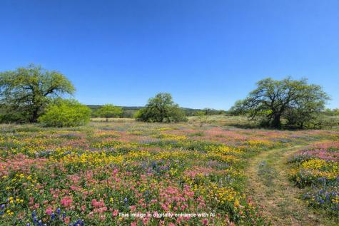 Tbd Smith West Road Johnson City TX 78636