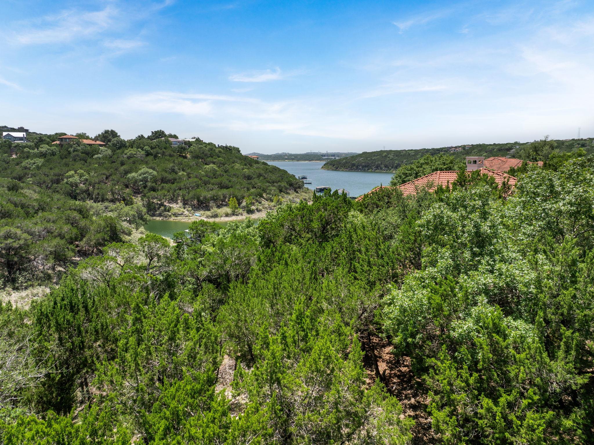 18505 Monet Pointe Drive Jonestown TX 78645