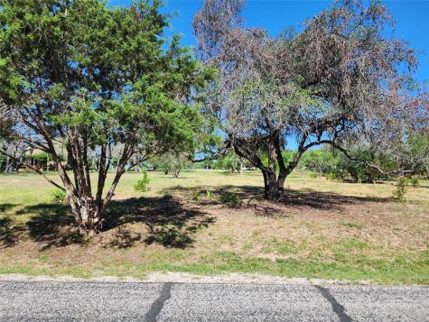 314 Coventry (Lot 374) Drive Spicewood TX 78669