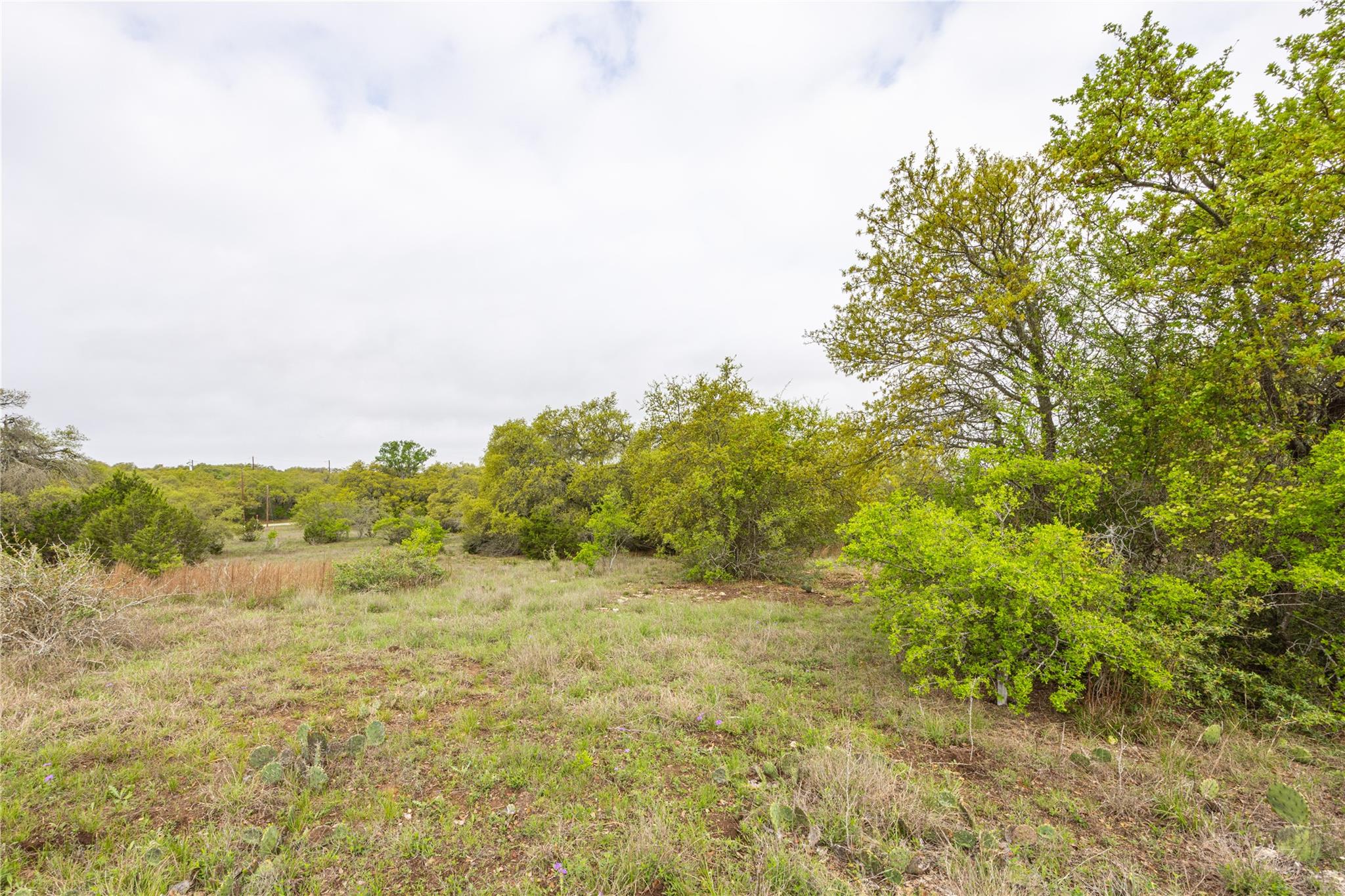 Tbd Logan's Way Blanco TX 78606