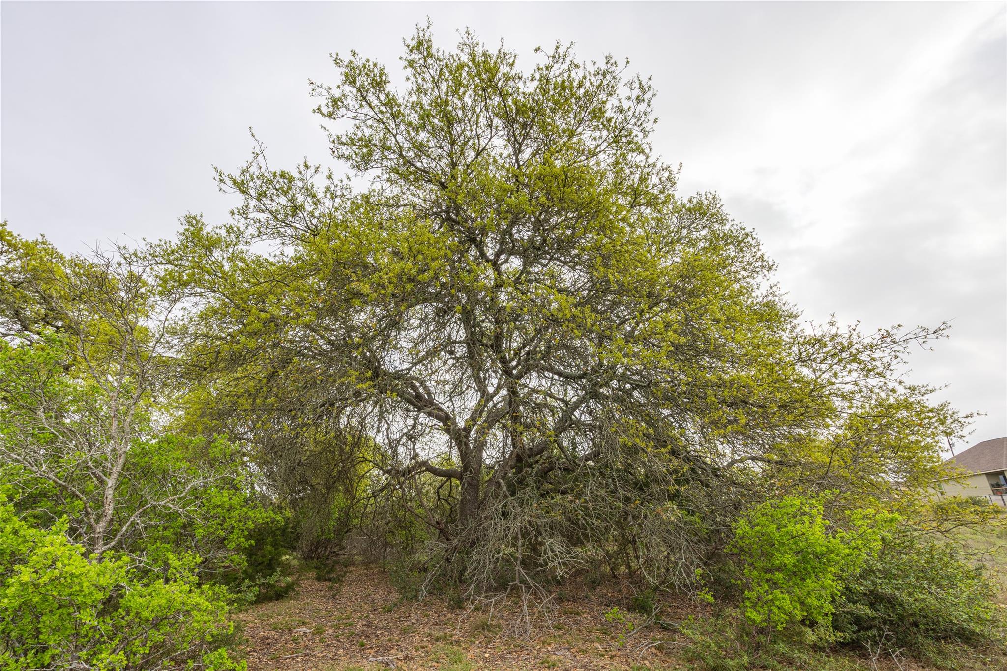 Tbd Logan's Way Blanco TX 78606