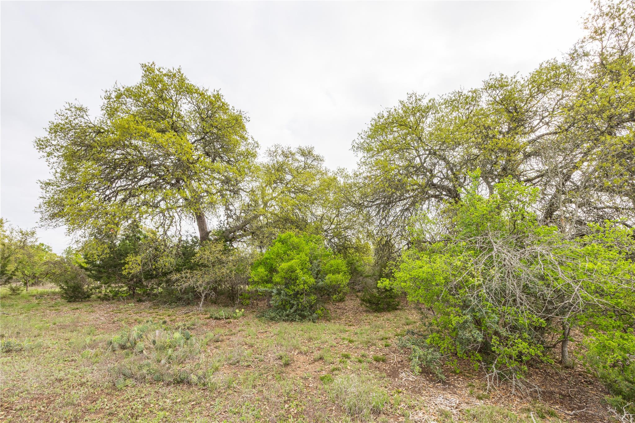 Tbd Logan's Way Blanco TX 78606