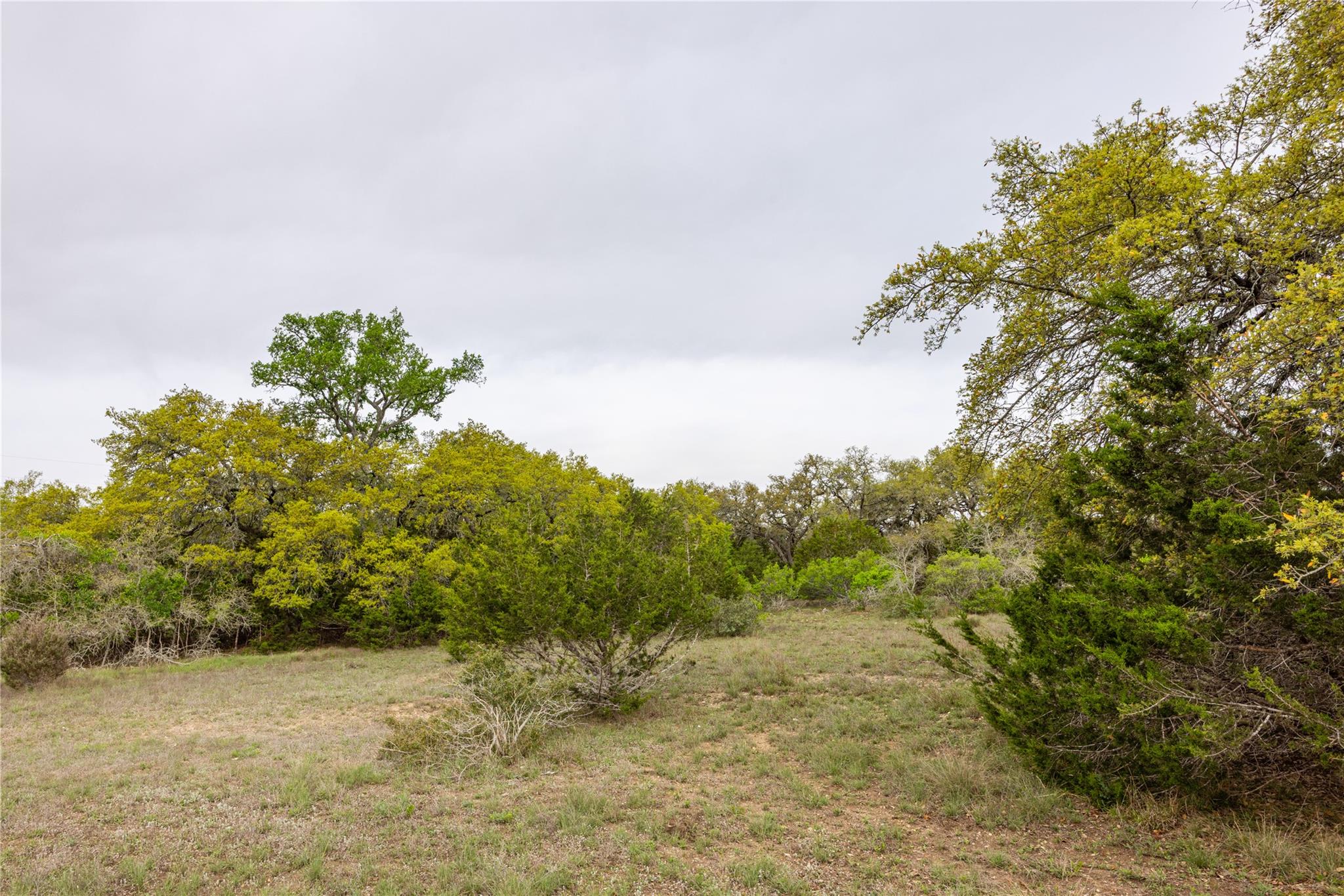 Tbd Logan's Way Blanco TX 78606