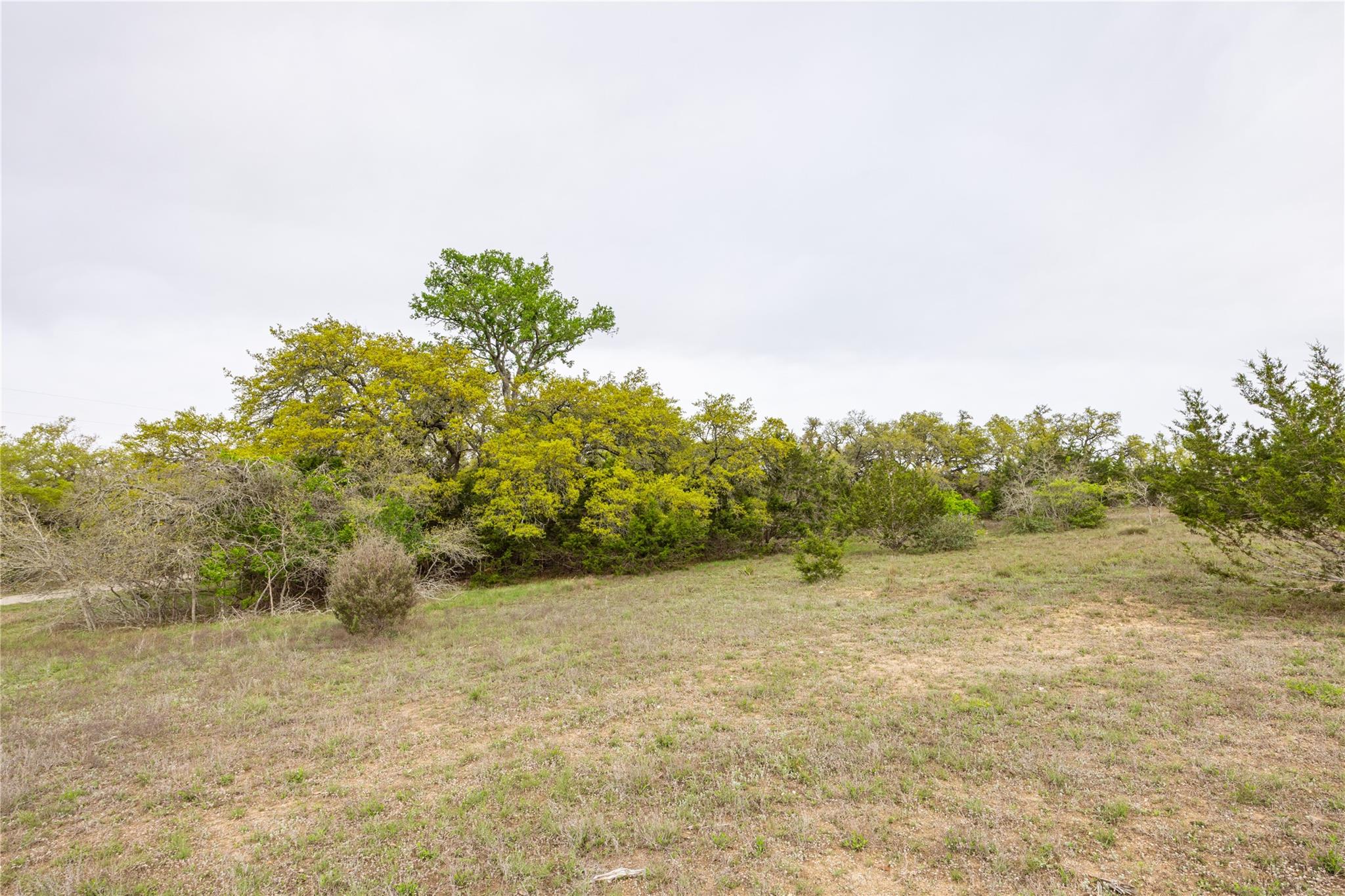 Tbd Logan's Way Blanco TX 78606