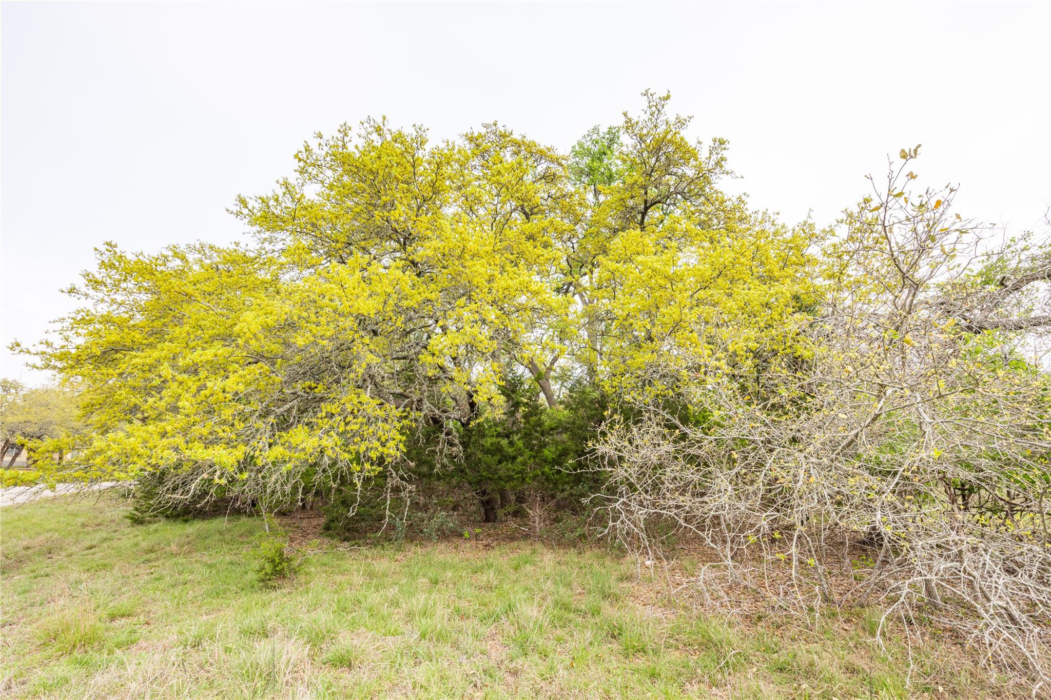 Tbd Logan's Way Blanco TX 78606