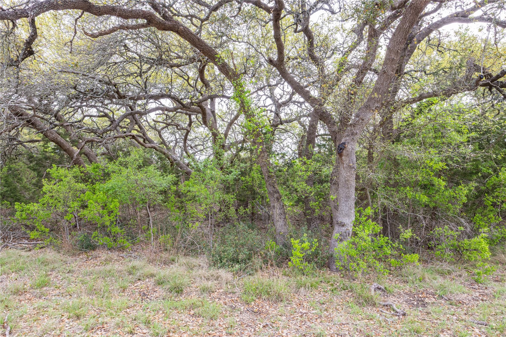 Tbd Logan's Way Blanco TX 78606