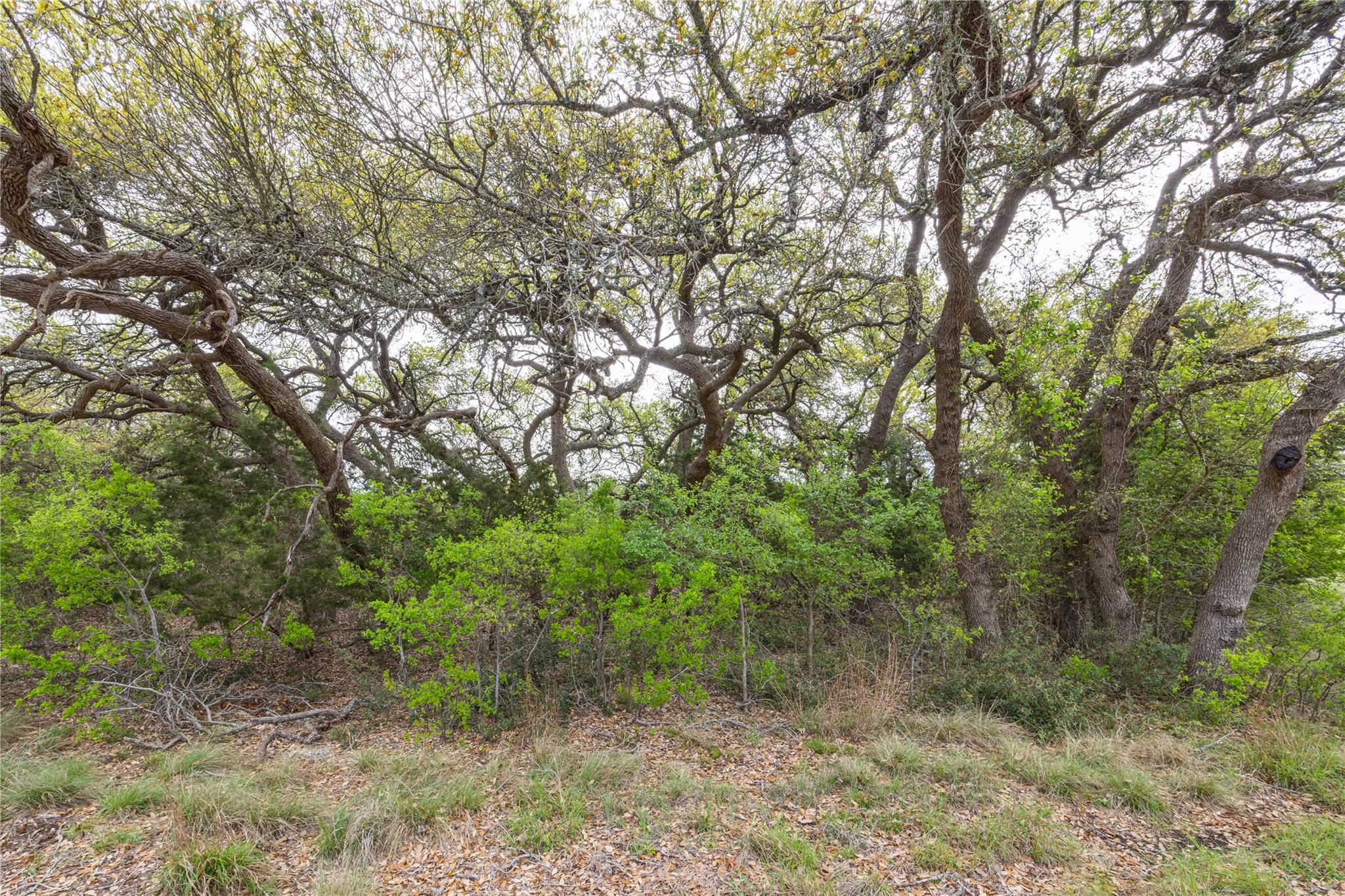 Tbd Logan's Way Blanco TX 78606