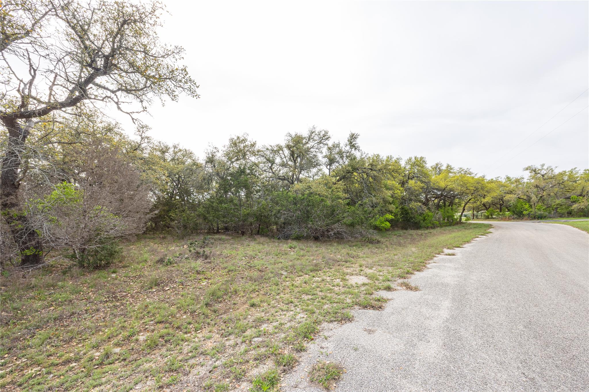 Tbd Logan's Way Blanco TX 78606