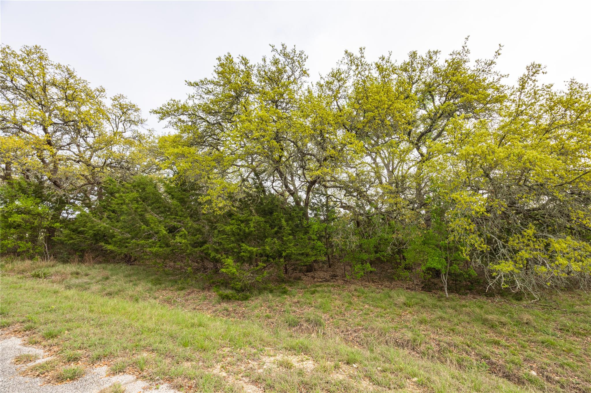 Tbd Logan's Way Blanco TX 78606