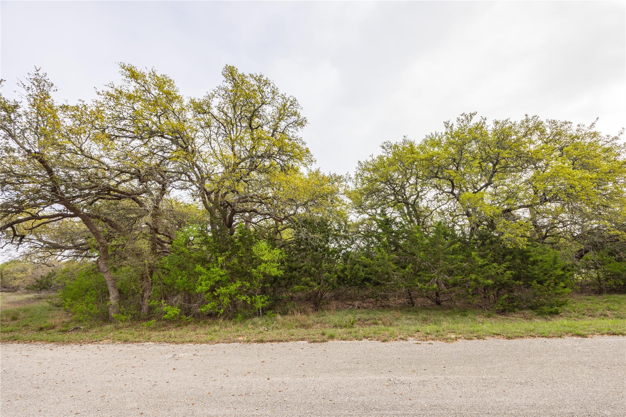 Tbd Logan's Way Blanco TX 78606