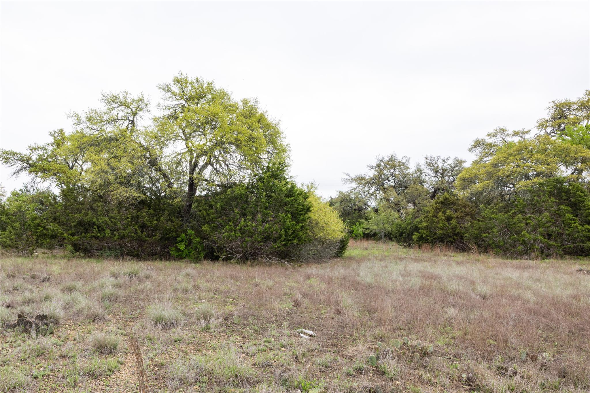 Tbd Logan's Way Blanco TX 78606