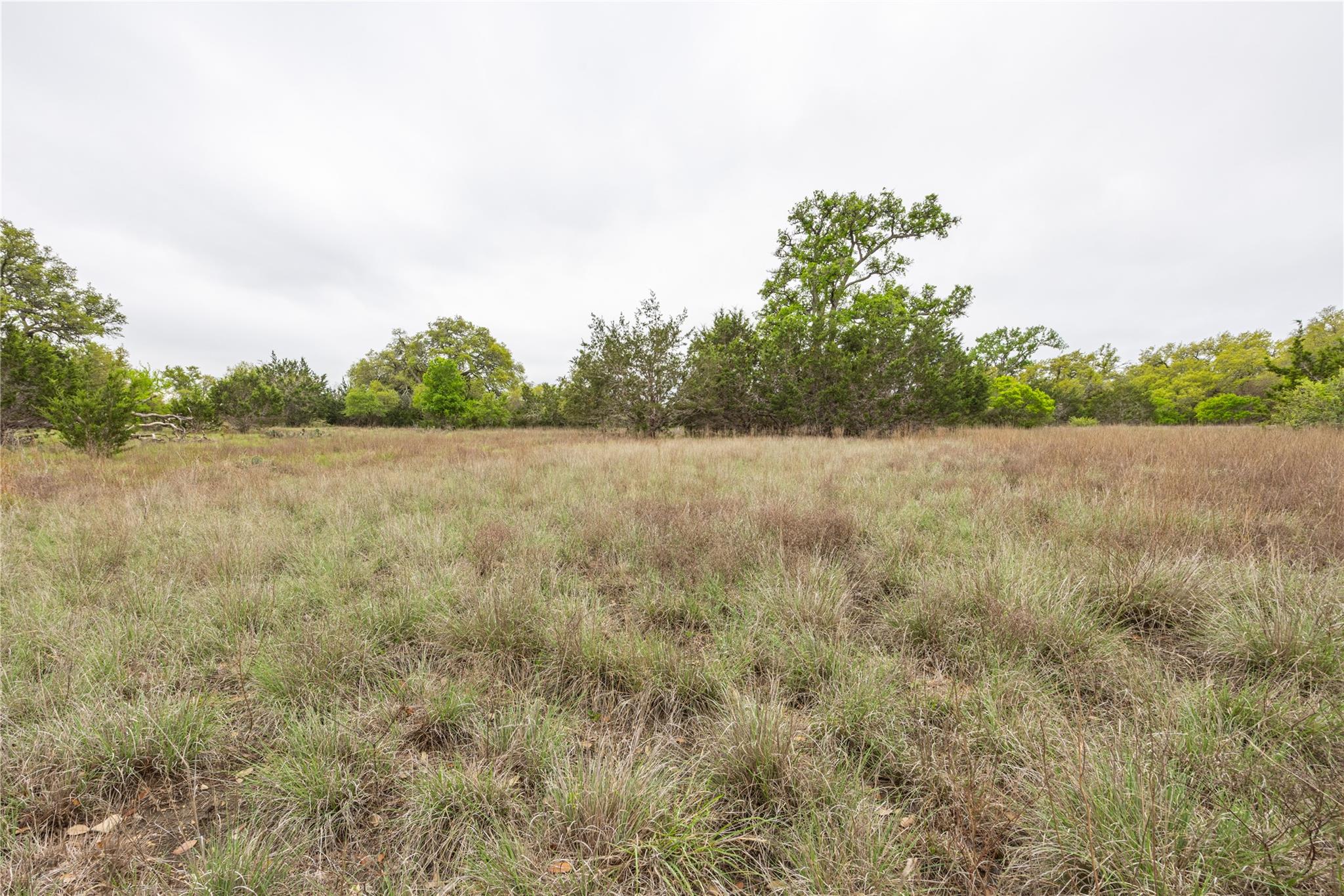 Tbd Logan's Way Blanco TX 78606
