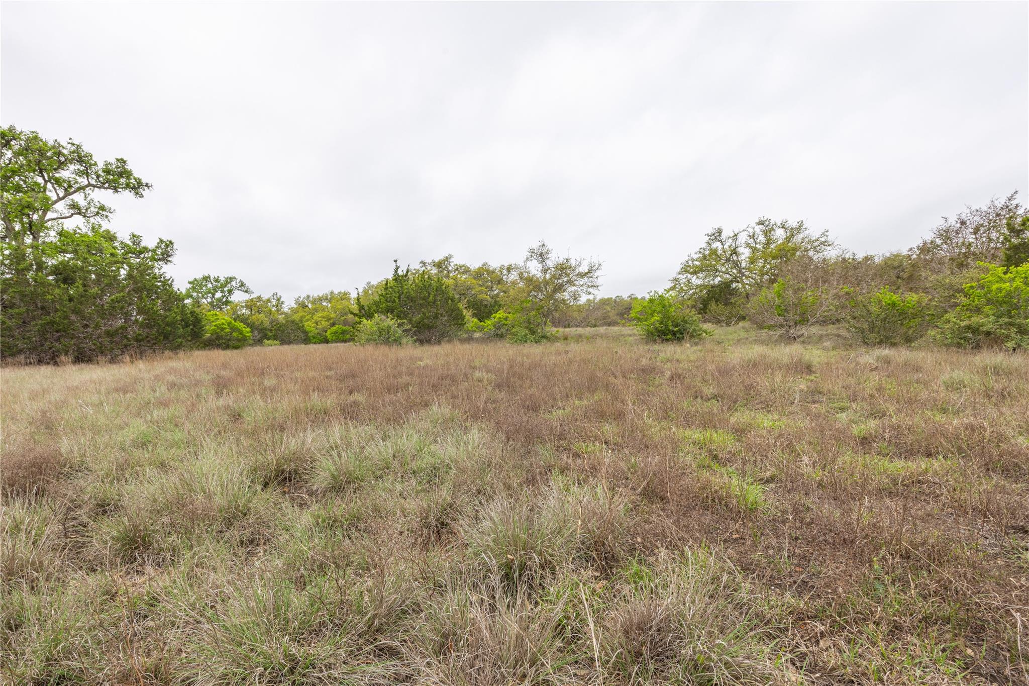 Tbd Logan's Way Blanco TX 78606