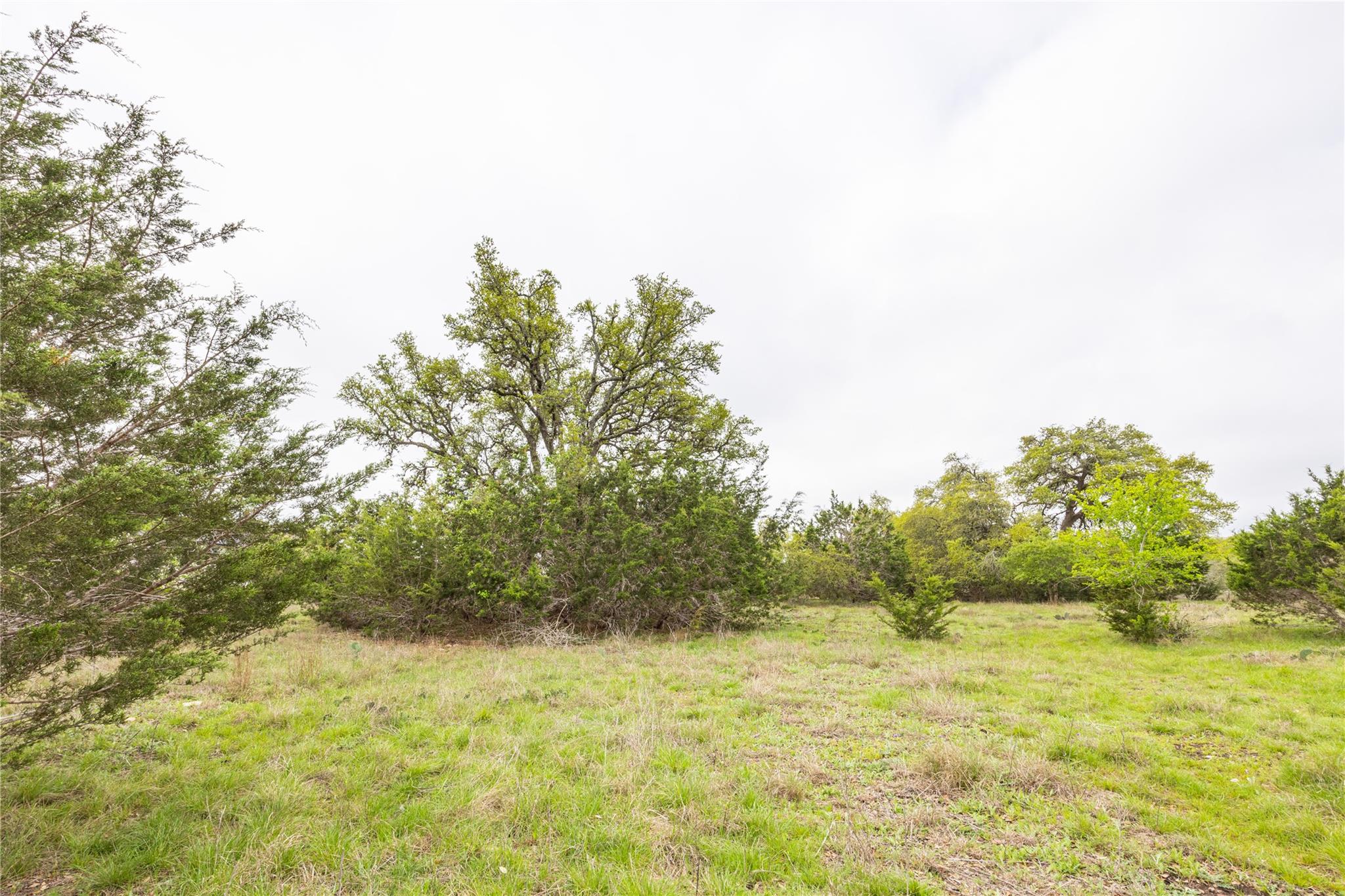Tbd Logan's Way Blanco TX 78606