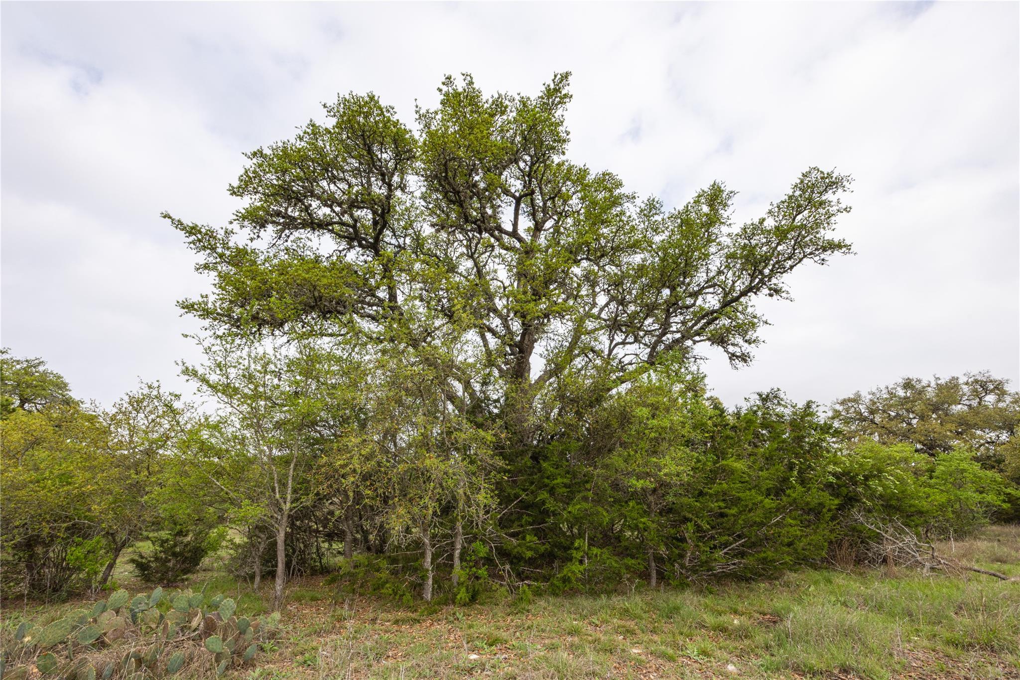 Tbd Logan's Way Blanco TX 78606