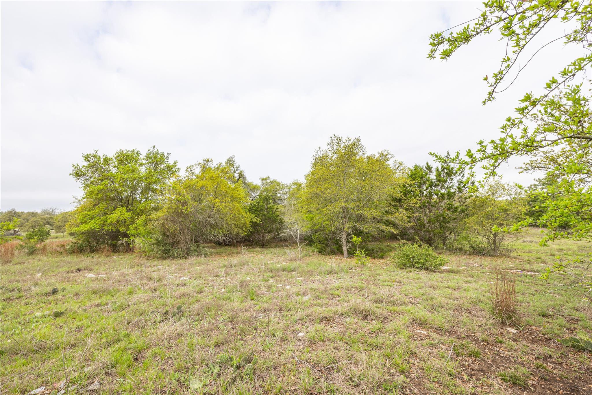 Tbd Logan's Way Blanco TX 78606