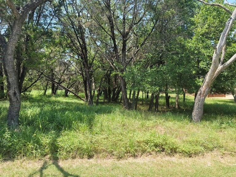 35060 Oak Forest Drive Whitney TX 76692