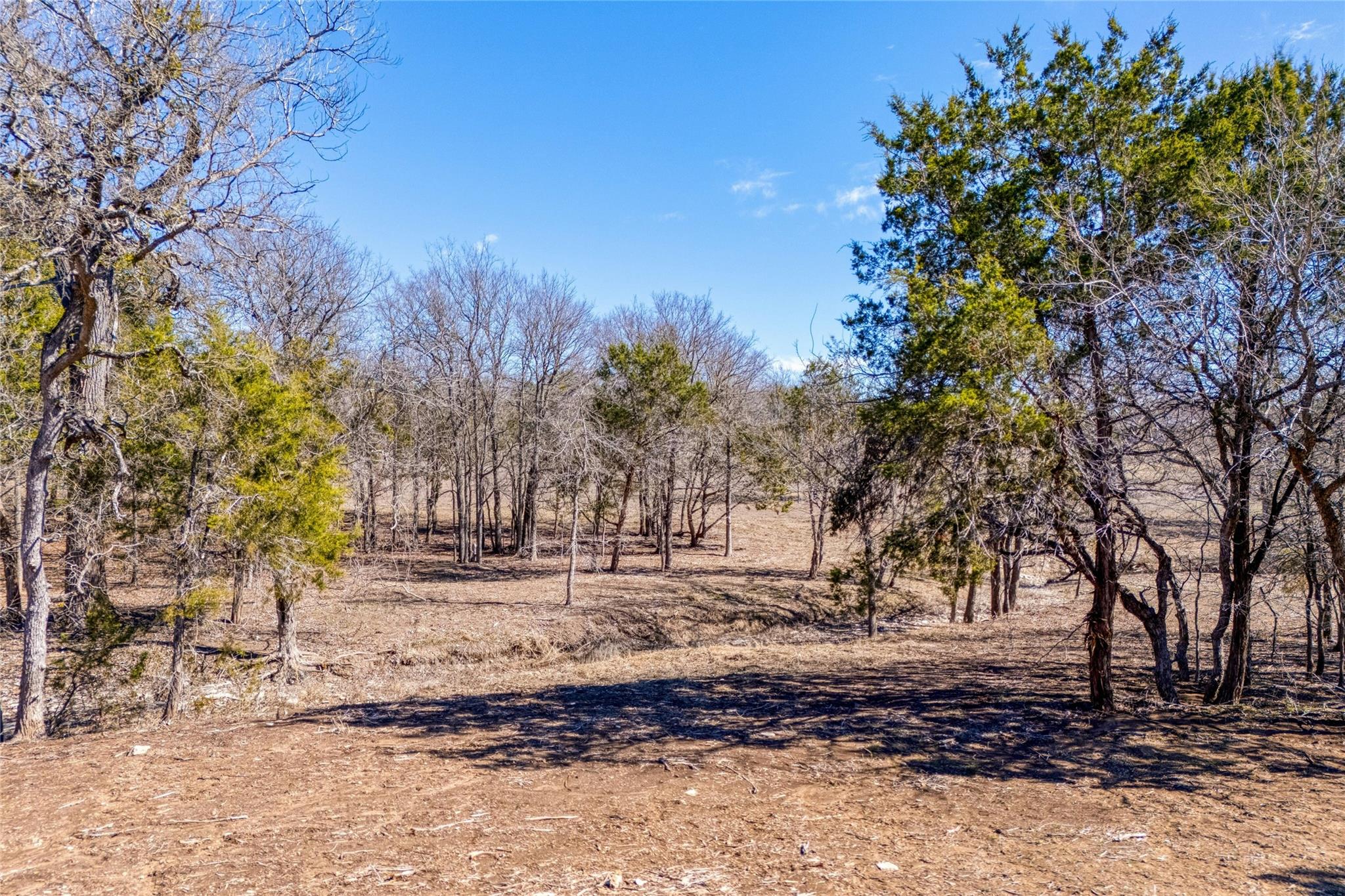 125 Milton Creek Ranch Road Liberty Hill TX 78642