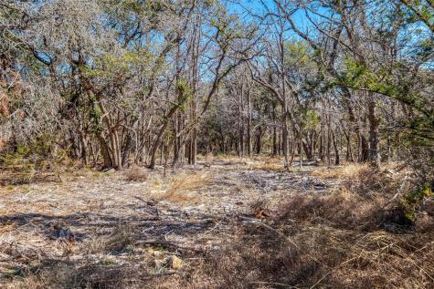 125 Milton Creek Ranch Road Liberty Hill TX 78642
