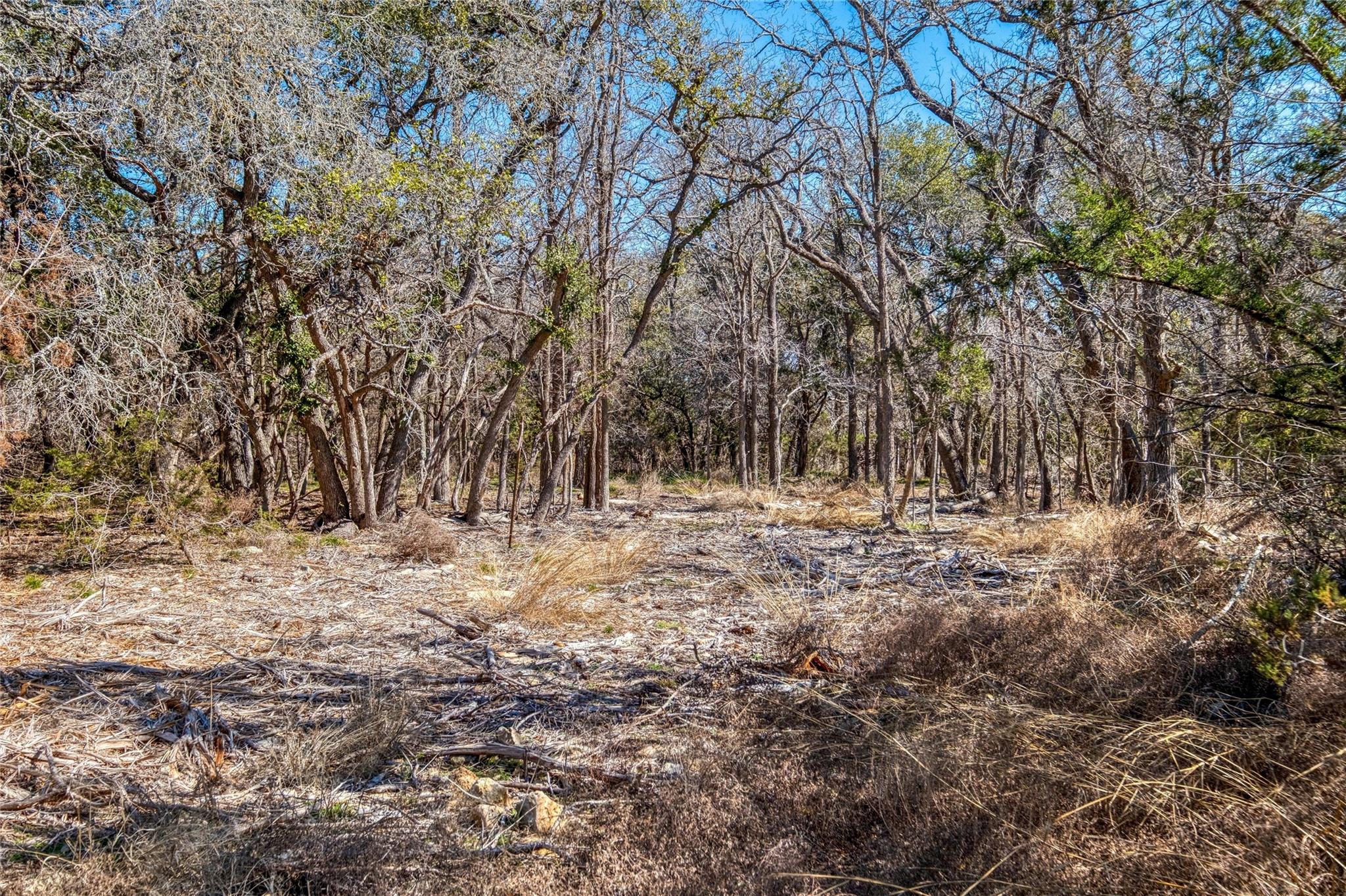 125 Milton Creek Ranch Road Liberty Hill TX 78642