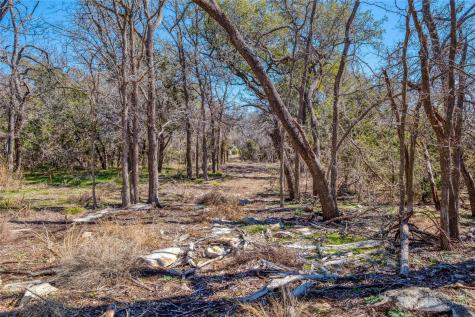 125 Milton Creek Ranch Road Liberty Hill TX 78642