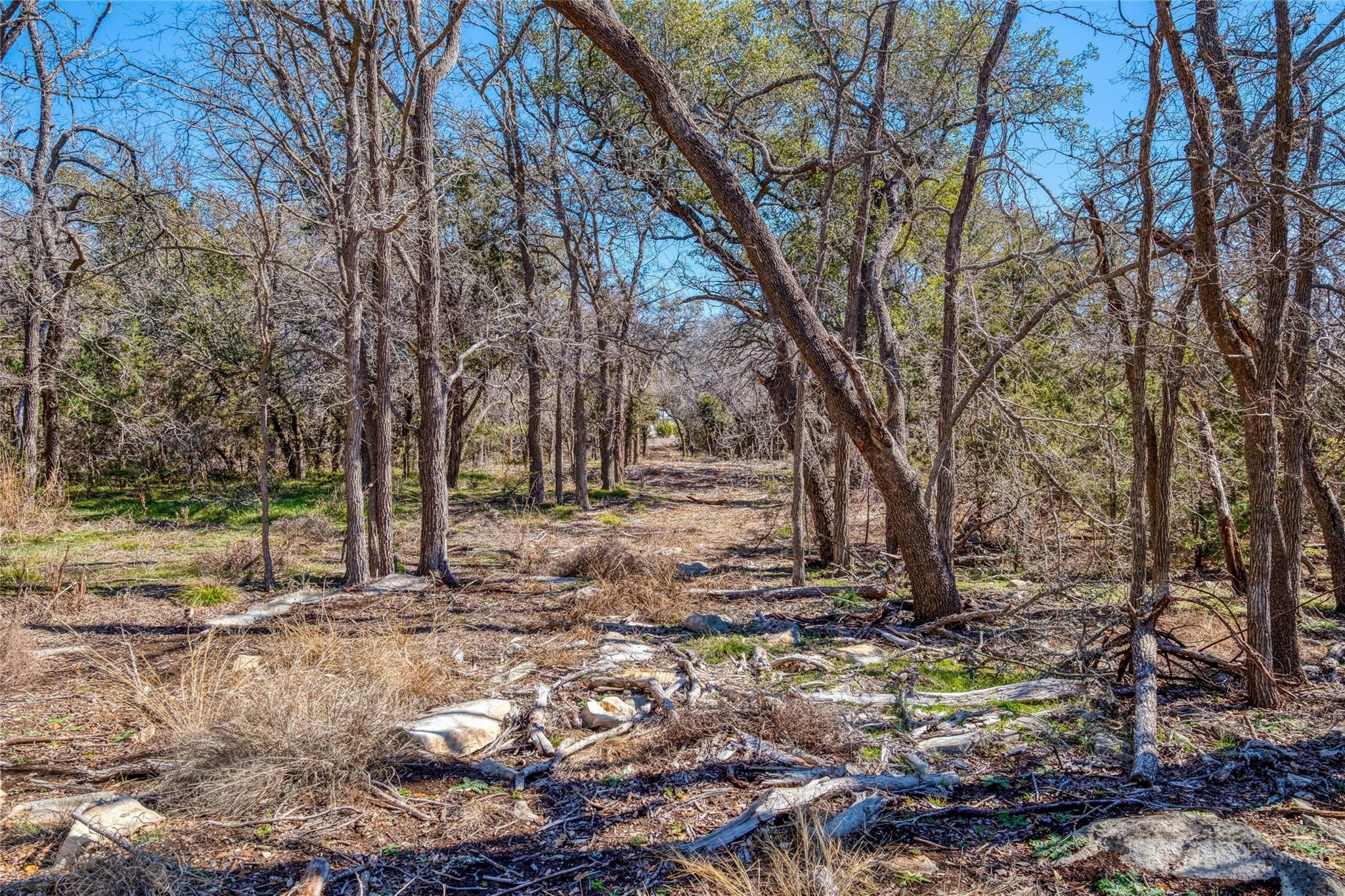 125 Milton Creek Ranch Road Liberty Hill TX 78642