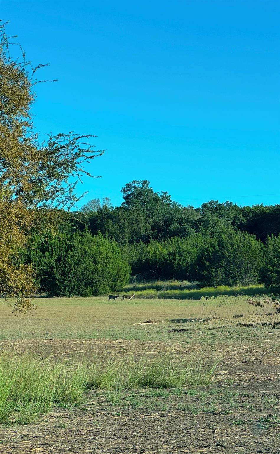 125 Milton Creek Ranch Road Liberty Hill TX 78642