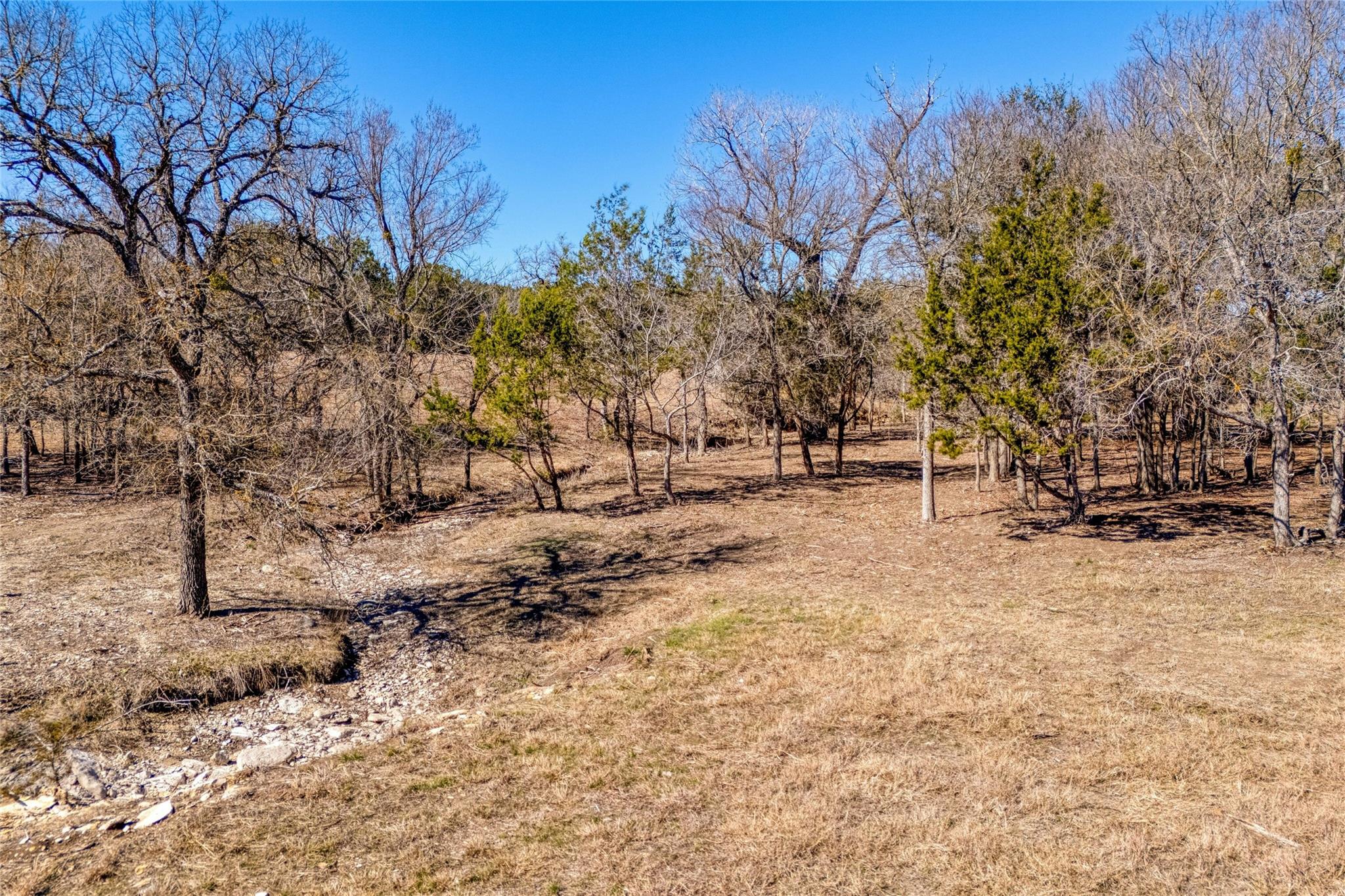 125 Milton Creek Ranch Road Liberty Hill TX 78642