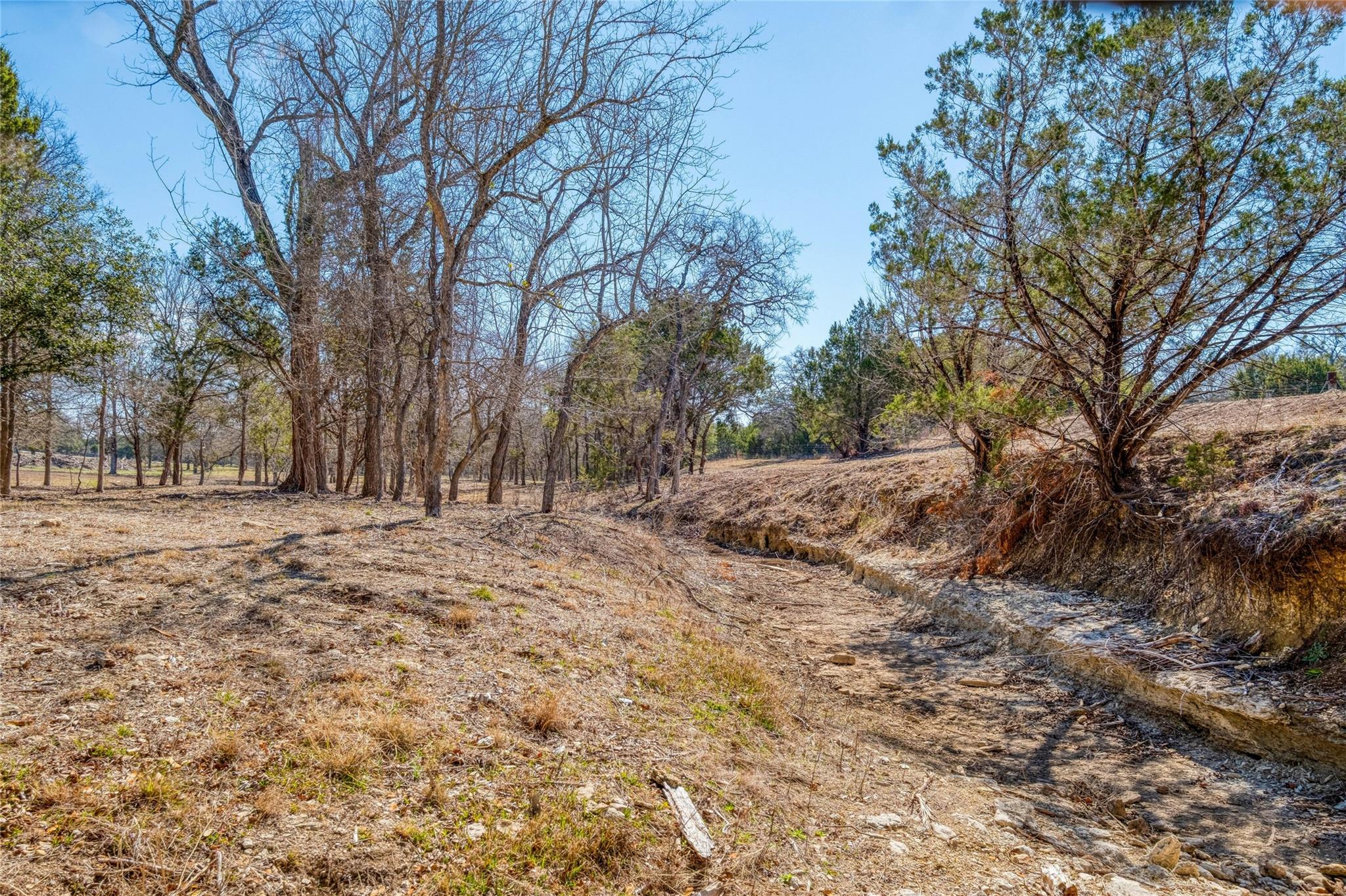 125 Milton Creek Ranch Road Liberty Hill TX 78642