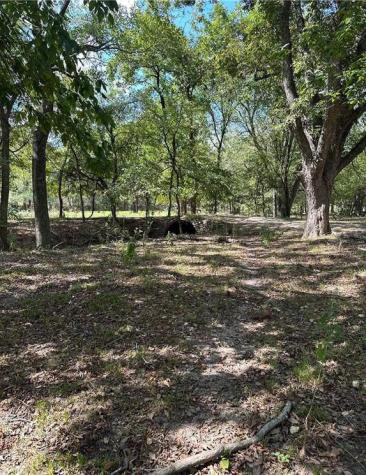 853 County Road 206 Bremond TX 76629