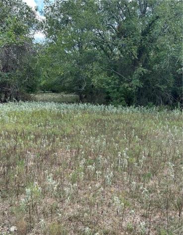 853 County Road 206 Bremond TX 76629