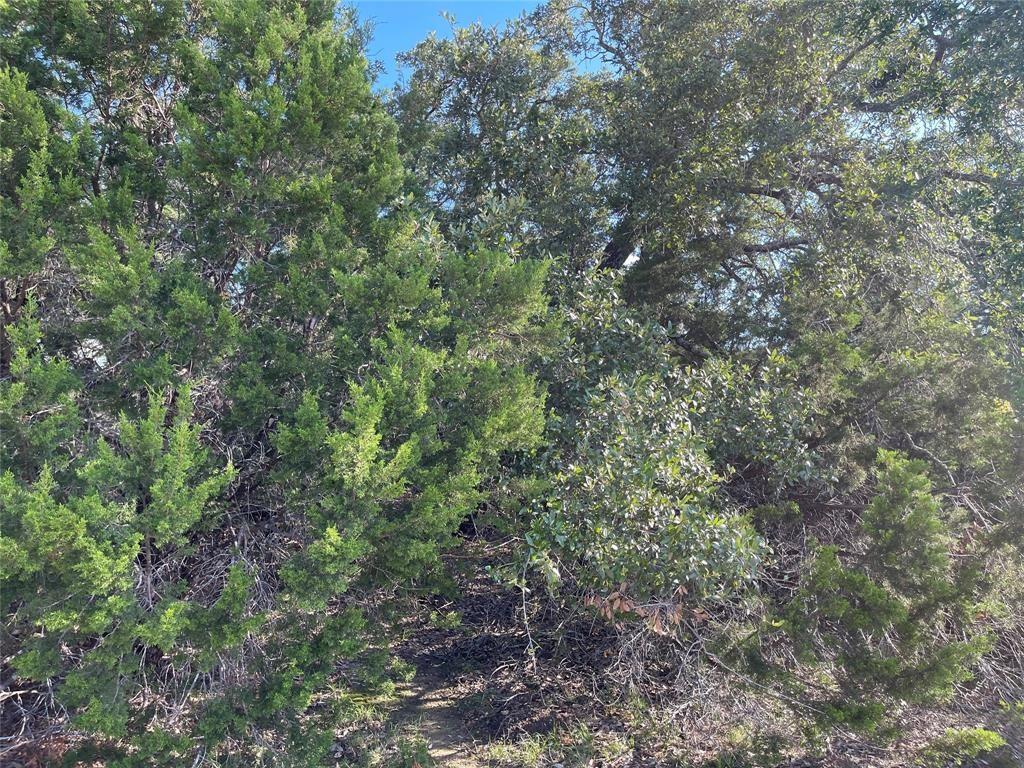21105 Santa Carlo Avenue Lago Vista TX 78645