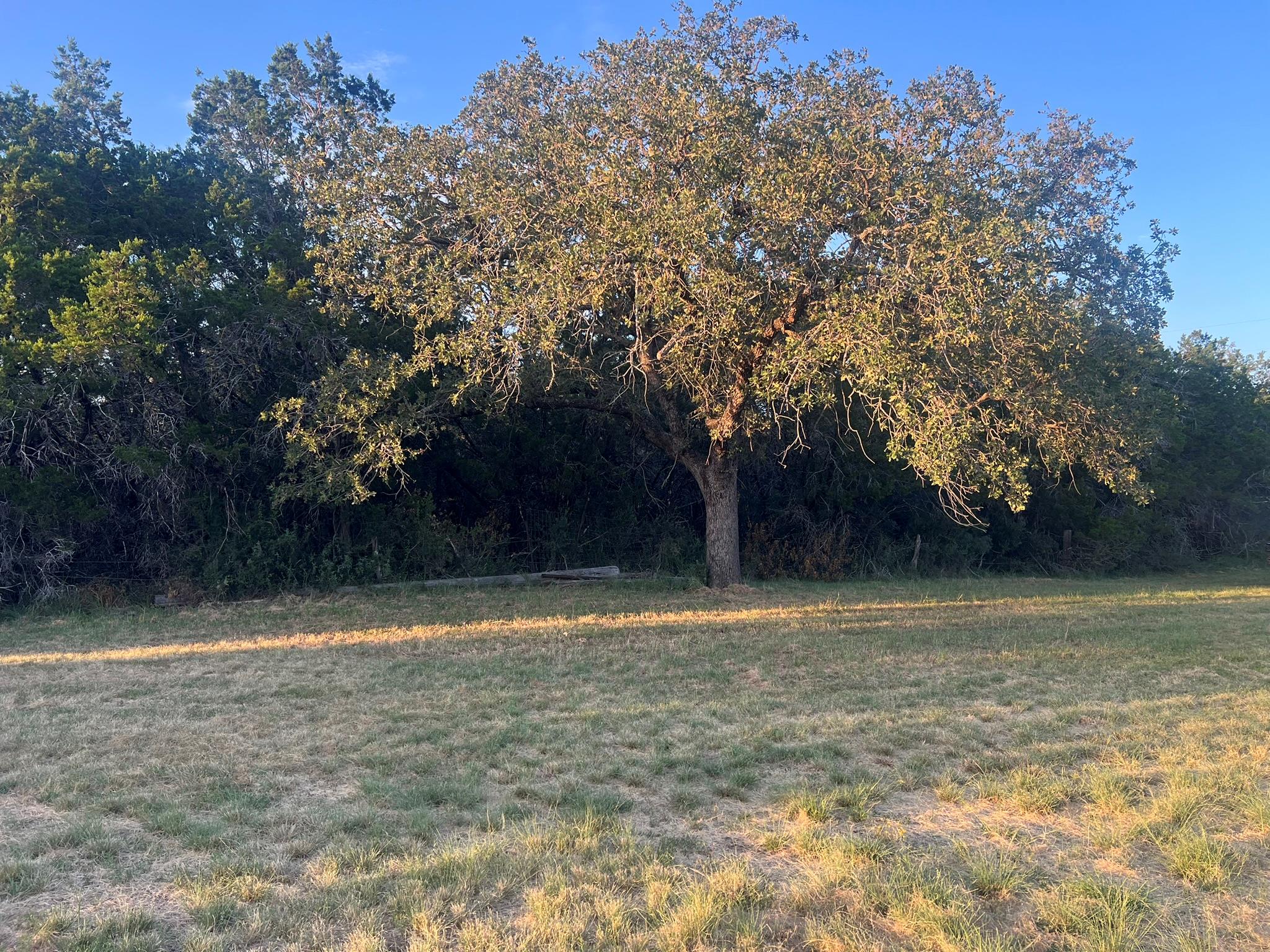 Tbd E Fm 1431 Marble Falls TX 78654
