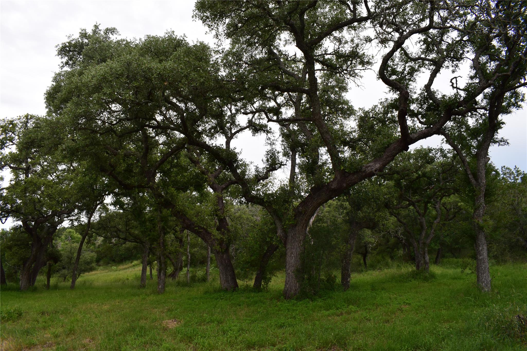 10430A Ranch Road 2341 Road Burnet TX 78611