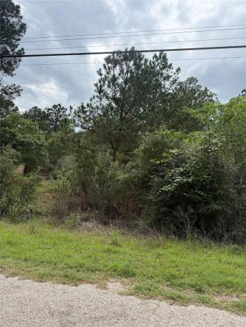 Lot 1360 N Kuapo Drive Bastrop TX 78602