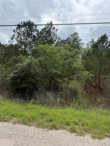 Lot 1360 N Kuapo Drive Bastrop TX 78602