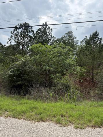 Lot 1360 N Kuapo Drive Bastrop TX 78602