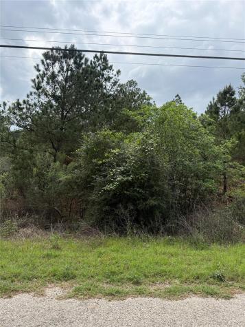 Lot 1360 N Kuapo Drive Bastrop TX 78602