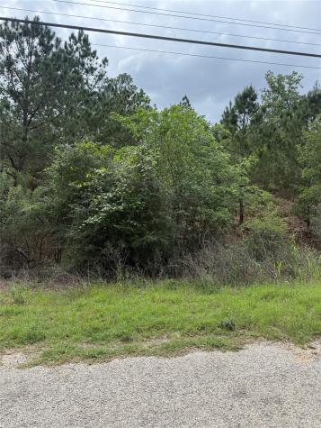 Lot 1360 N Kuapo Drive Bastrop TX 78602
