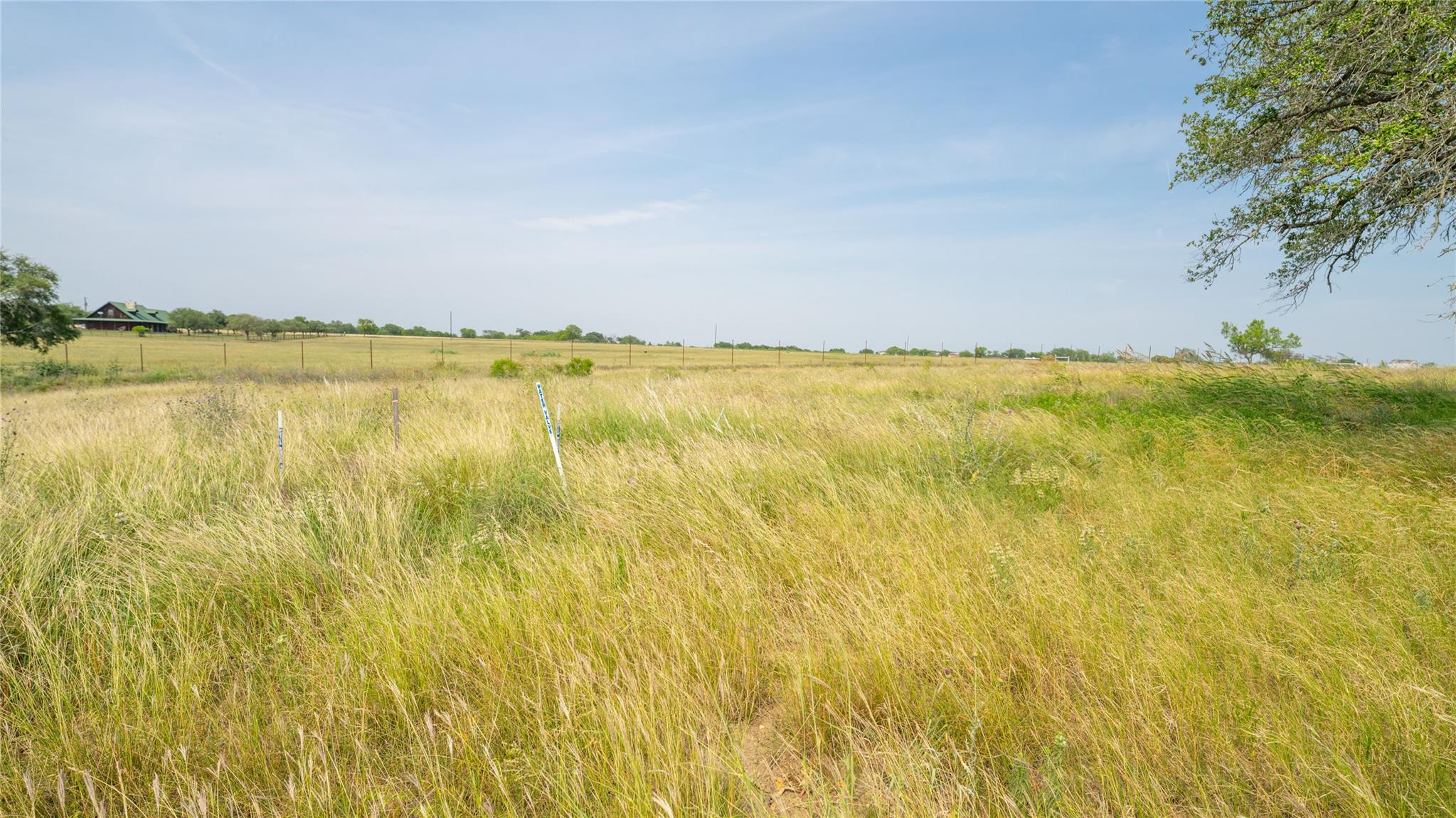 300 Altidore Avenue Dale TX 78616