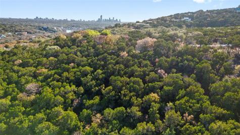 1802 Wild Cat Hollow West Lake Hills TX 78746