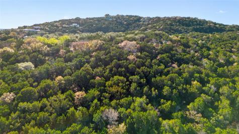 1802 Wild Cat Hollow West Lake Hills TX 78746