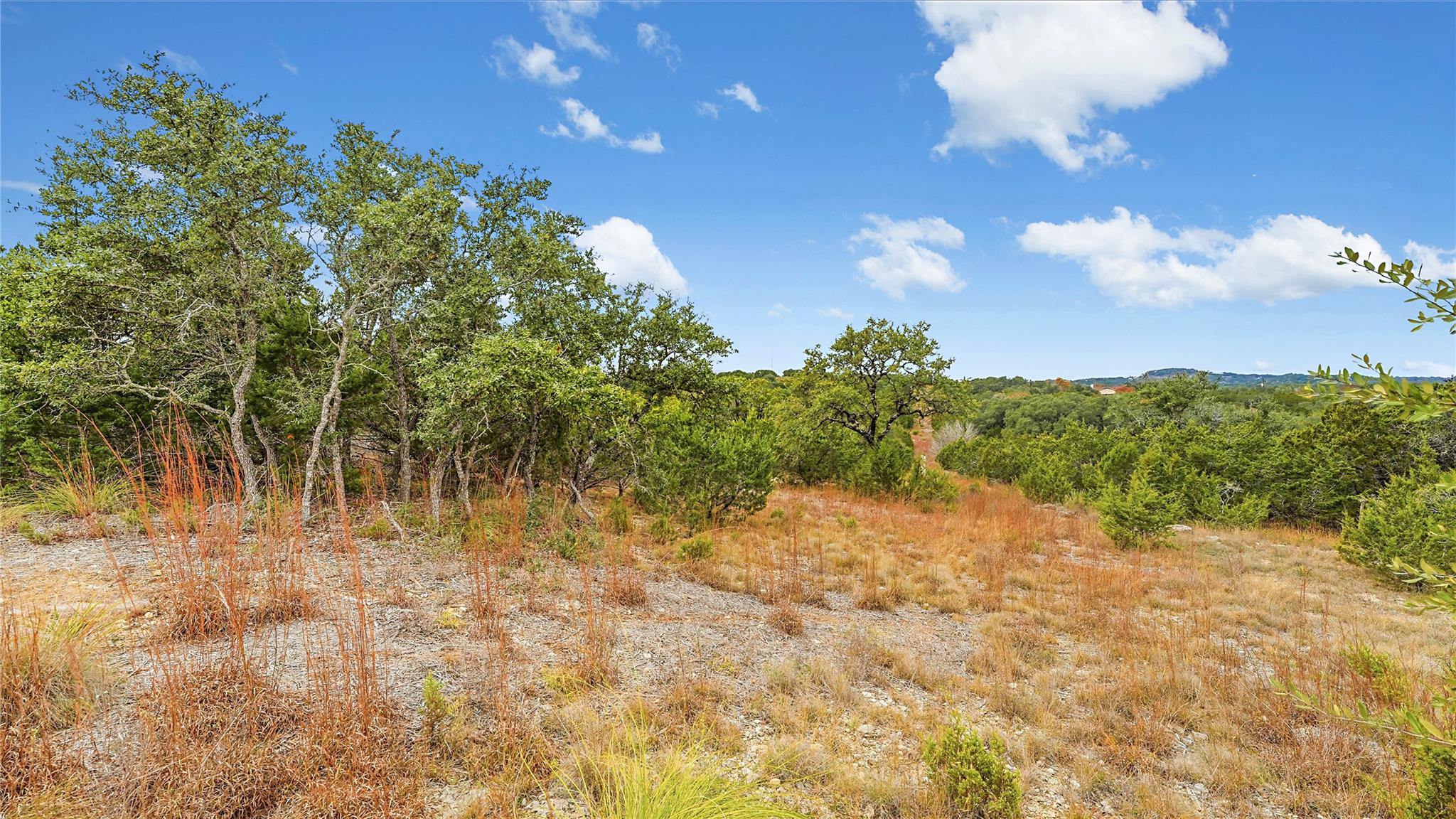 833 Bell Canyon Way Bulverde TX 78163