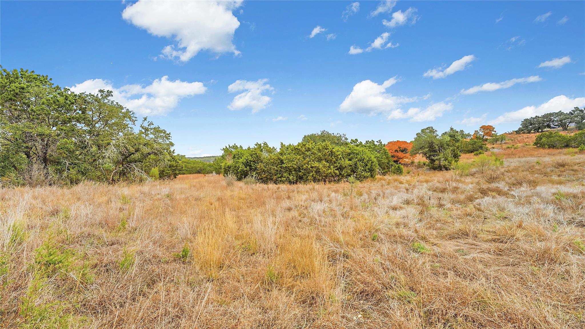833 Bell Canyon Way Bulverde TX 78163