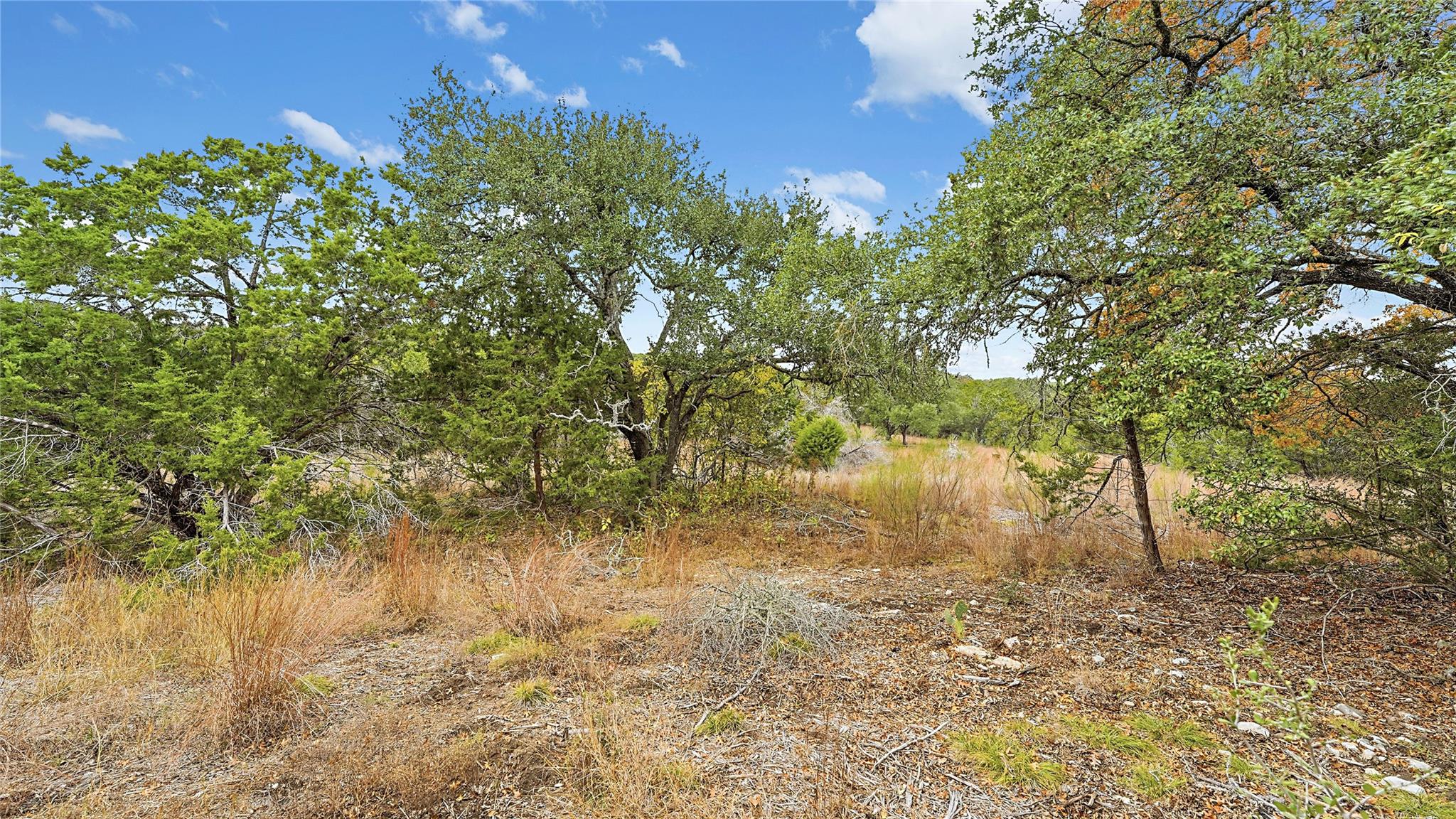 833 Bell Canyon Way Bulverde TX 78163