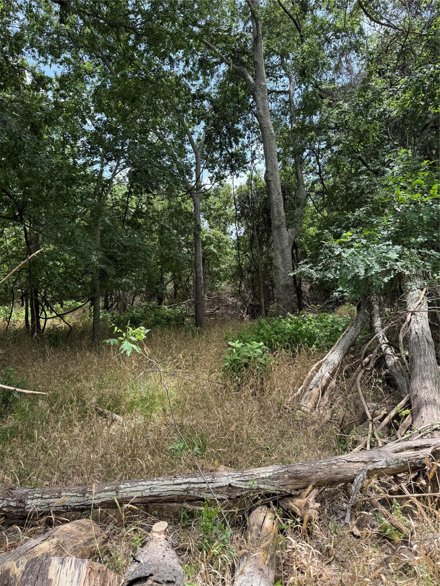 Lot 904 Kahana Lane Bastrop TX 78602